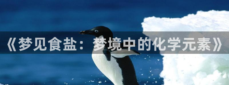 威九国际官网版