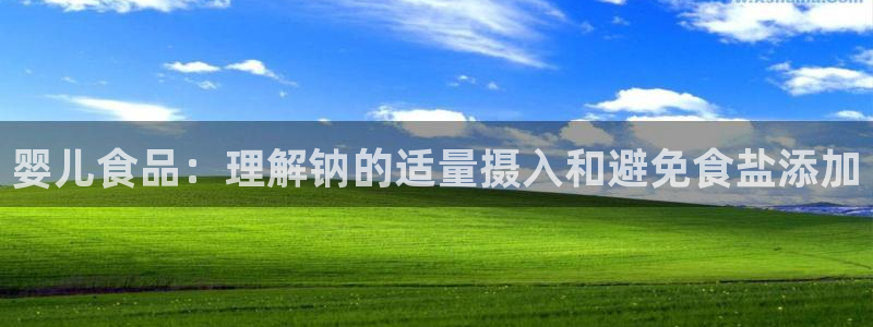 威九国际网站入口官网首页登录