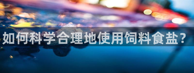 威九国际成长模式