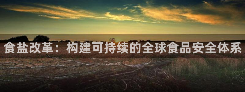 威九国际清砖码头怎么样