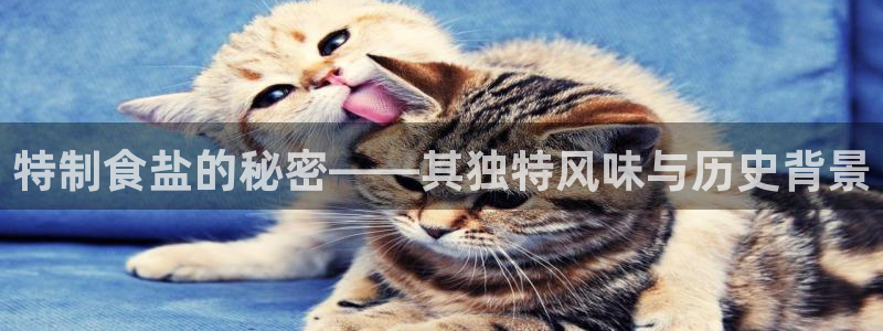 威九国际APP下载