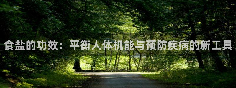 保定威九网络科技有限公司