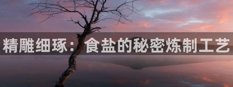 威九国际ppt官网