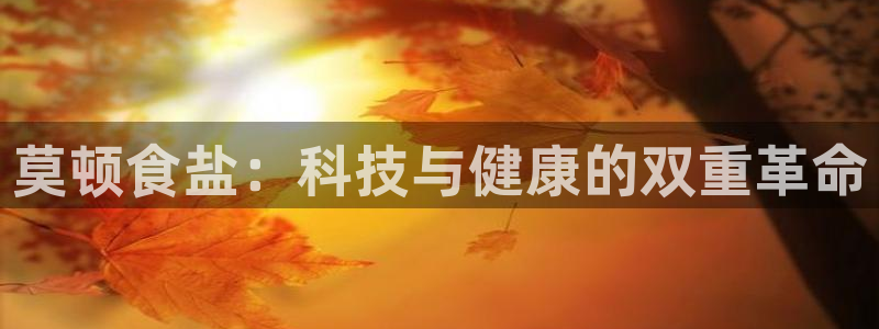 威九国际入囗：莫顿食盐：科技与健康的双重革命