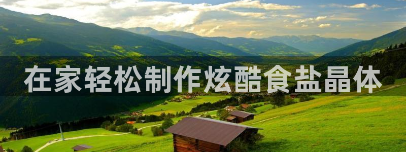 威九国际下载官网app