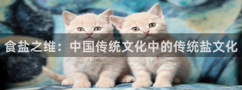 威九国际app网站官网