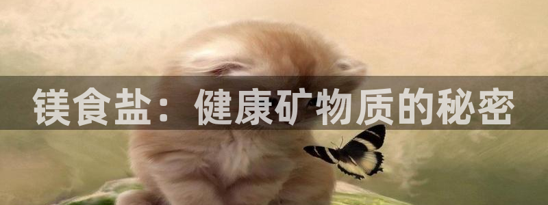 威九国际的网站入口在哪里