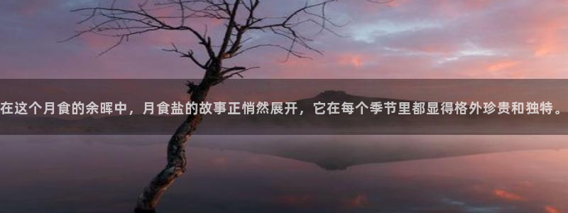 威九国际入囗