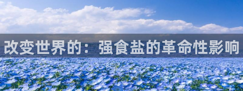 威九国际官网登录入口网站
