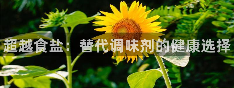 威九国际X8