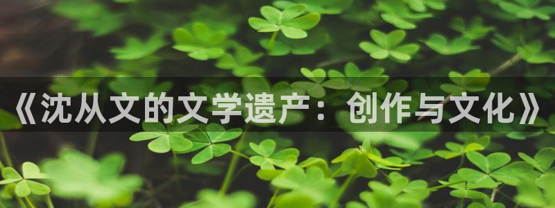 1v1辣文小说