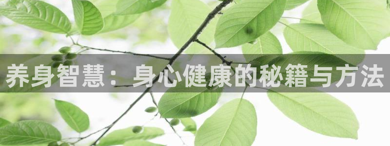 第三荷包h辣文小说网